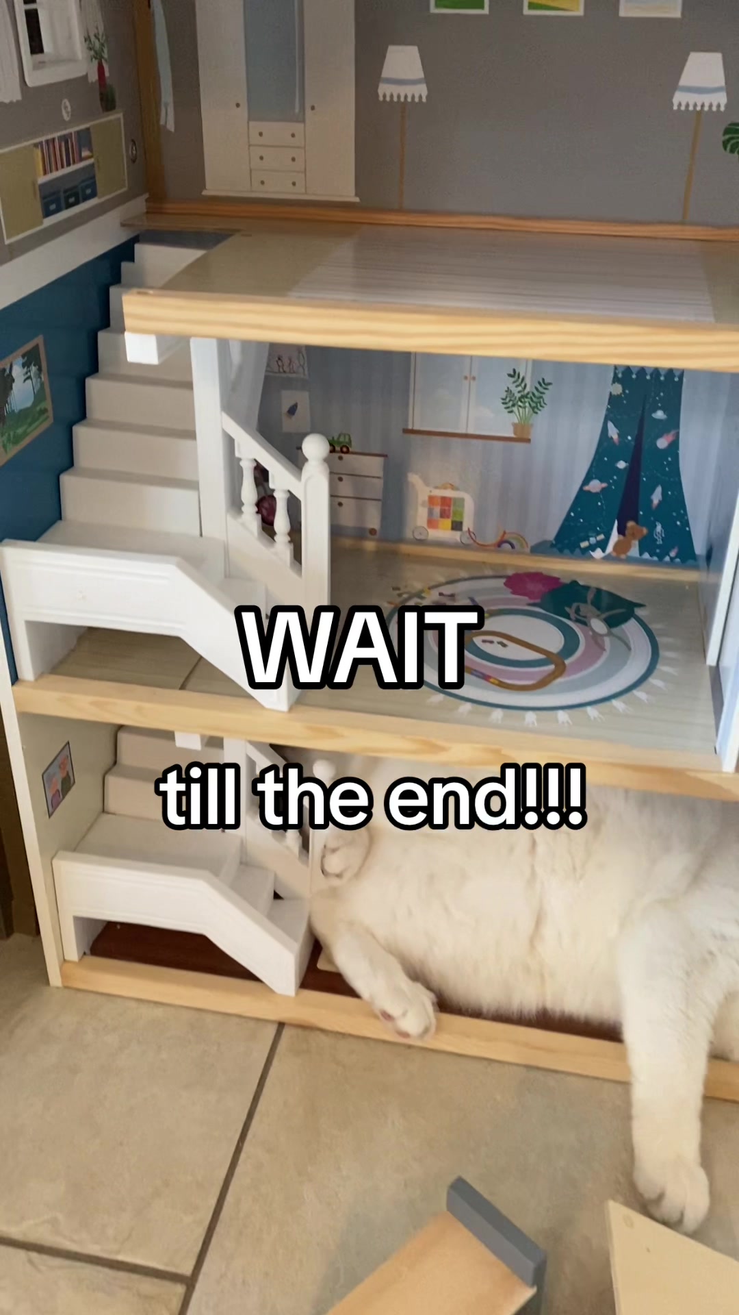 @Marielethecat