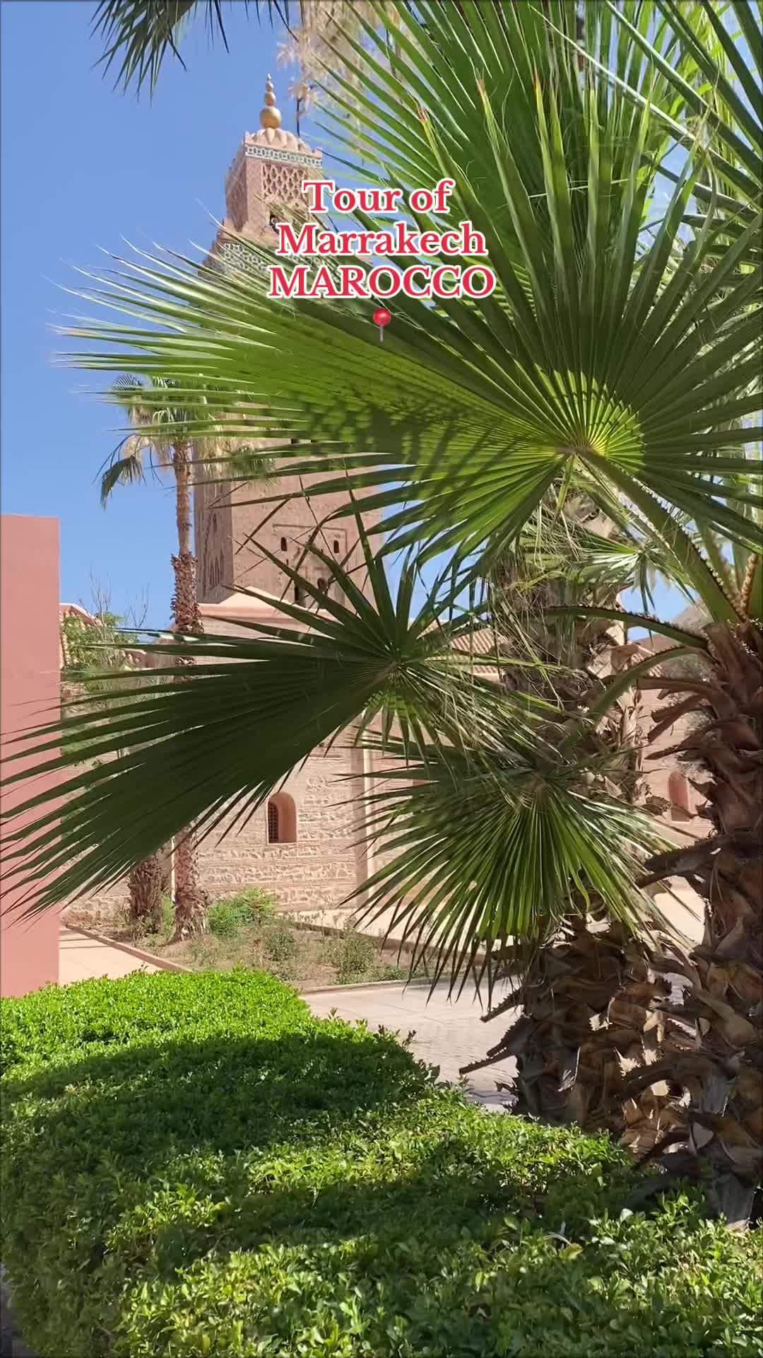 @Elyussa
