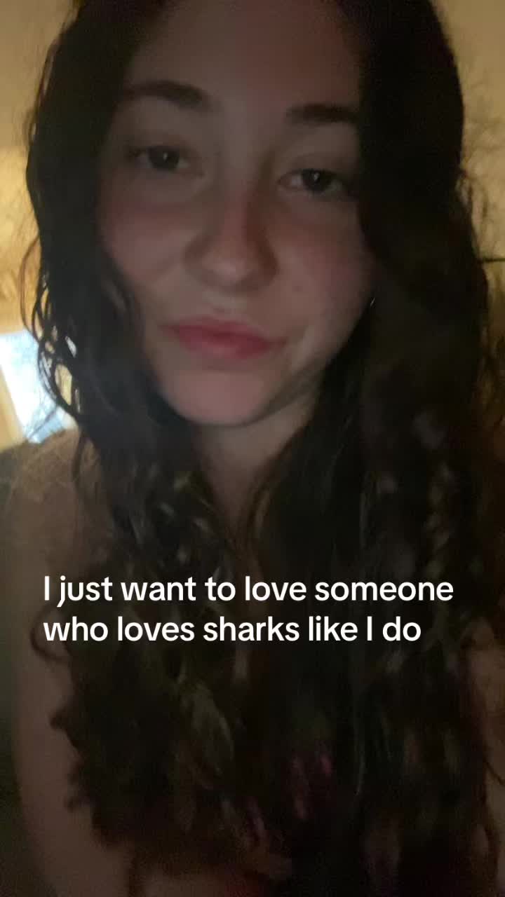 @🦈