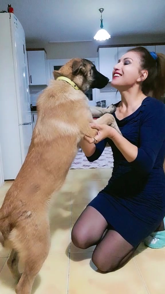 @Sevgi