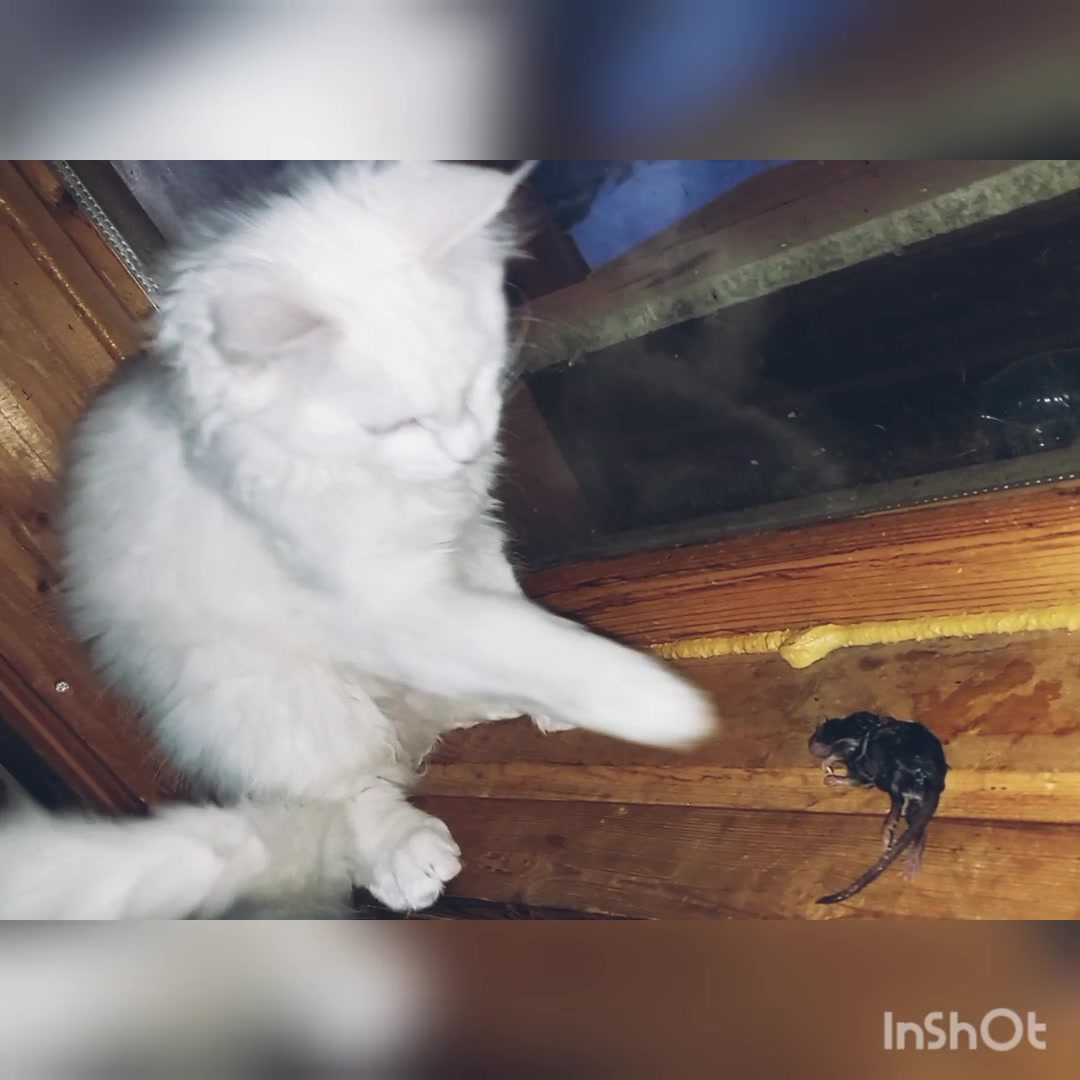 @Сашуля Милашка