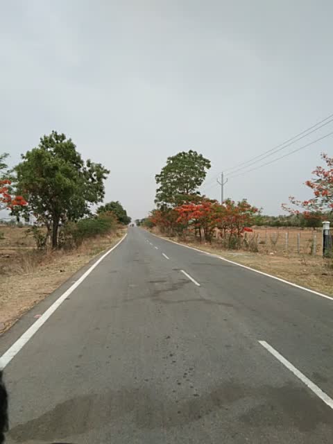 @Race Rider ALK