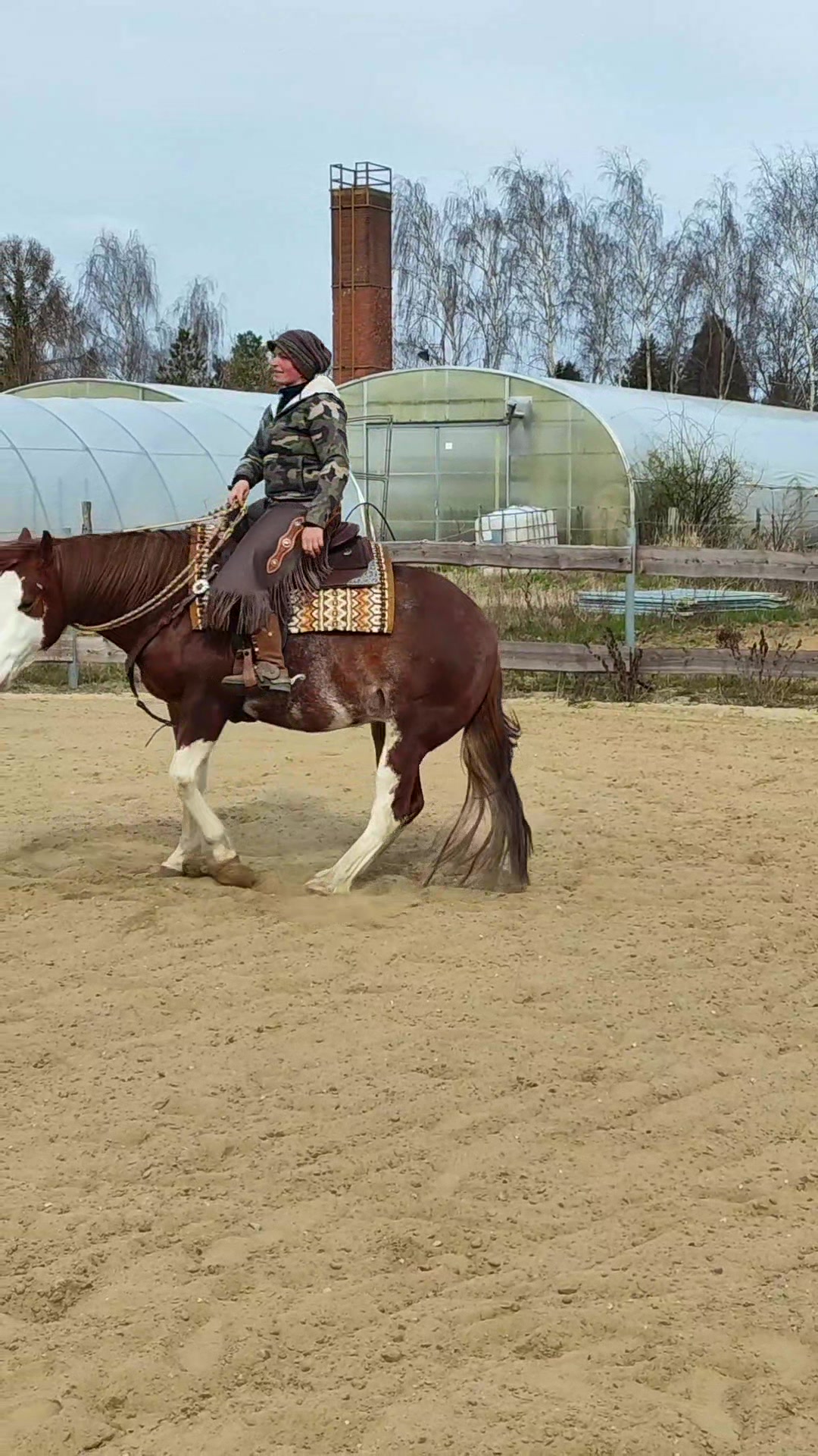 @Sandra Breitenstein