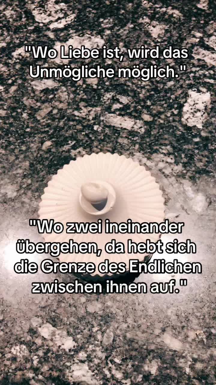 @_pflanzen_magie_