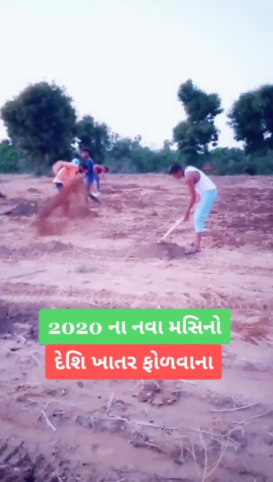 @🌹rangilo Thakor🌹