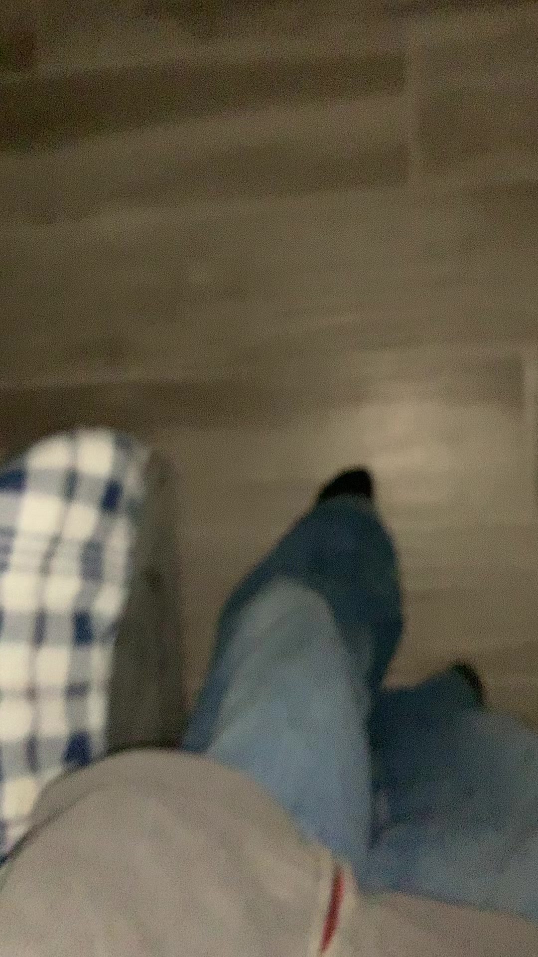 @🦔
