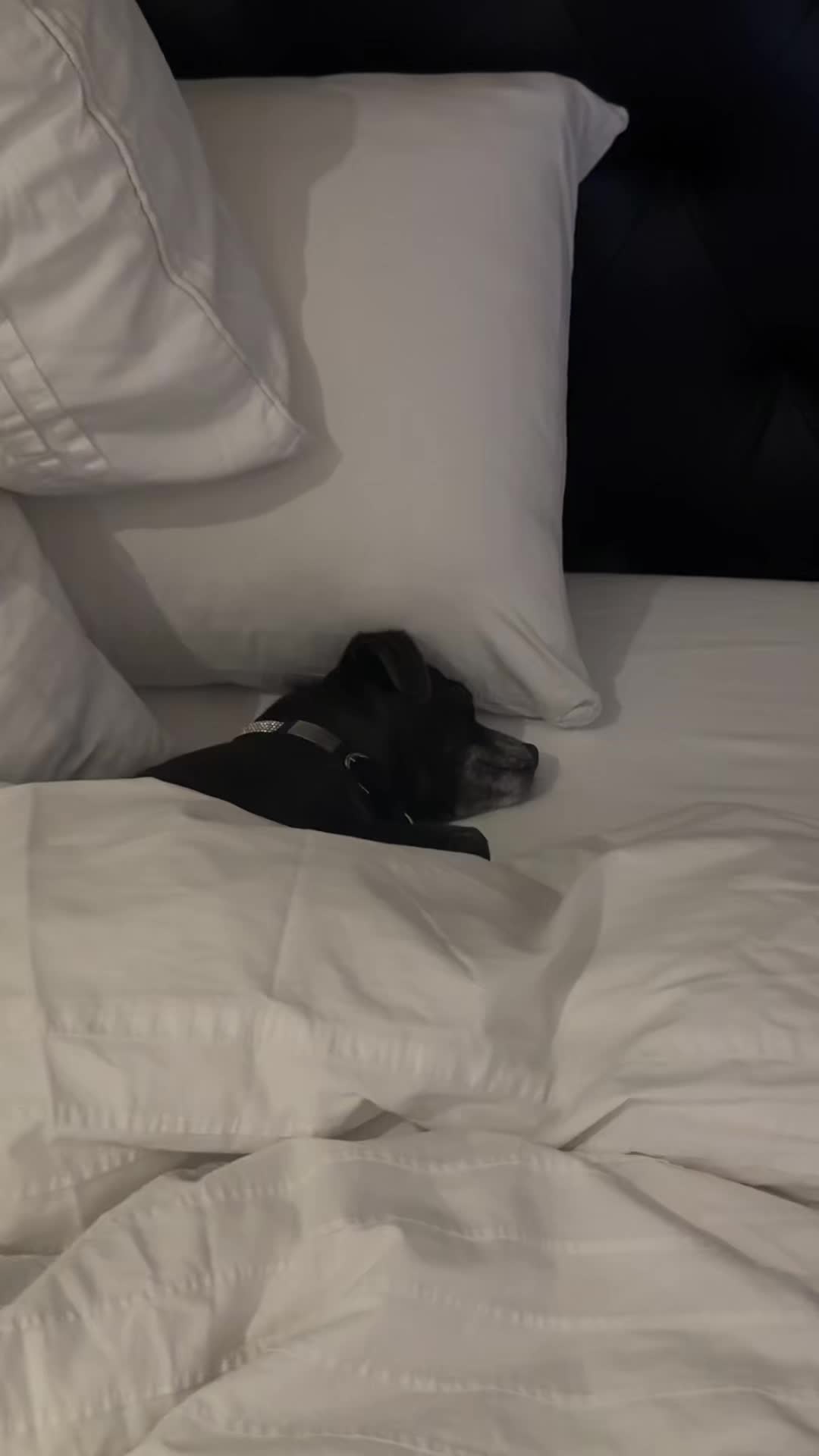 @Jenna🤠