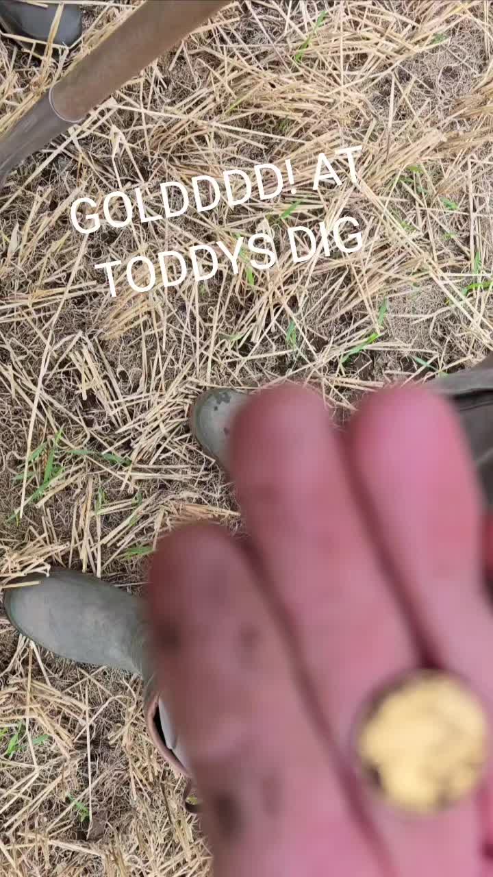 @Metal Detecting in Scotland