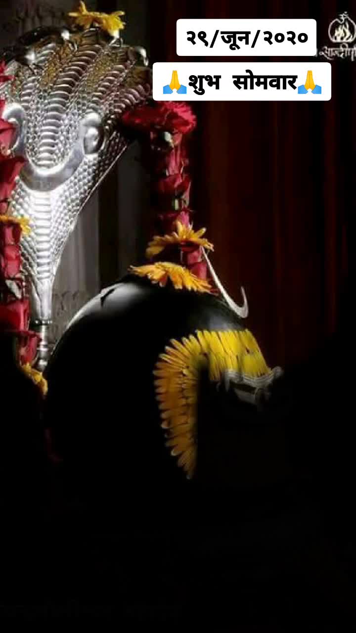 @shivangi