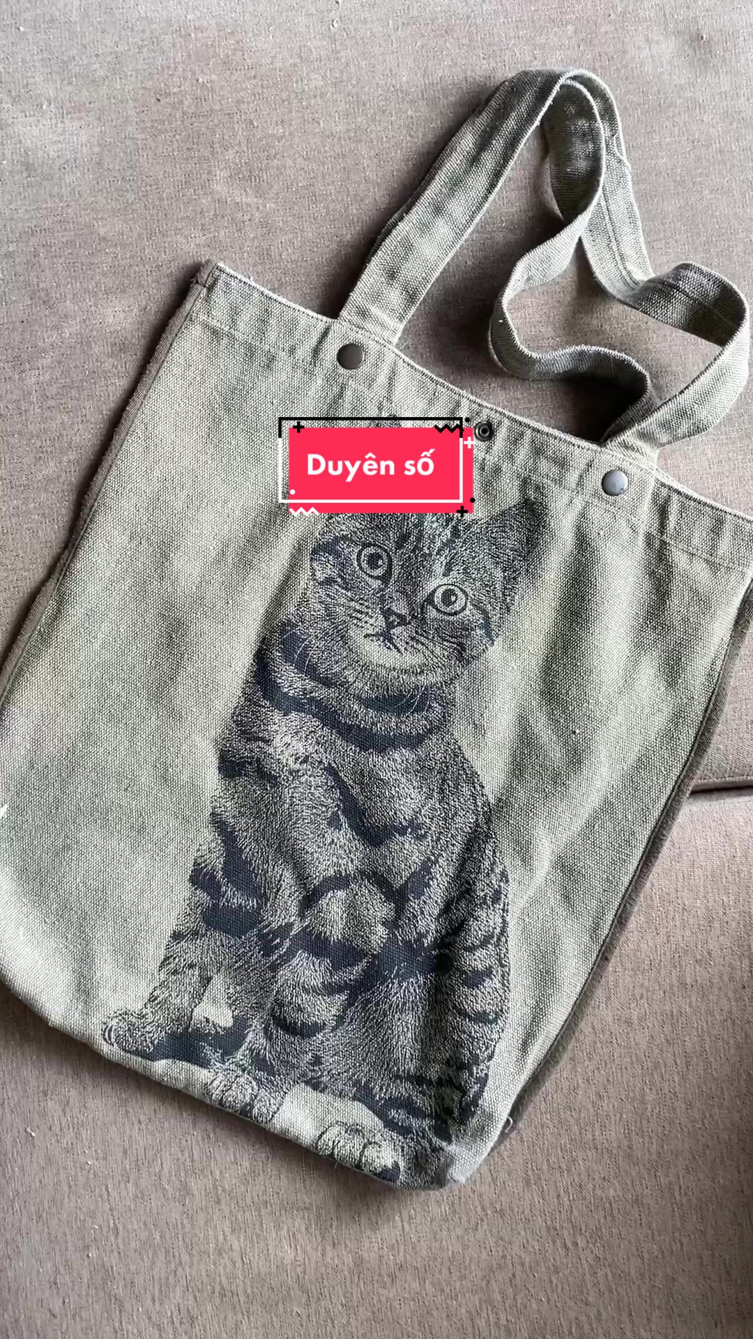 @Gia&ensp;Đ&igrave;nh&ensp;C&aacute;&ensp;Cua
