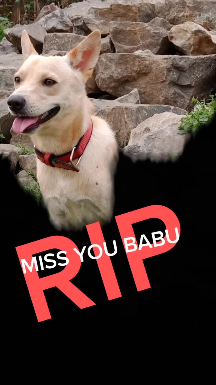 @Raghu narayan Raj