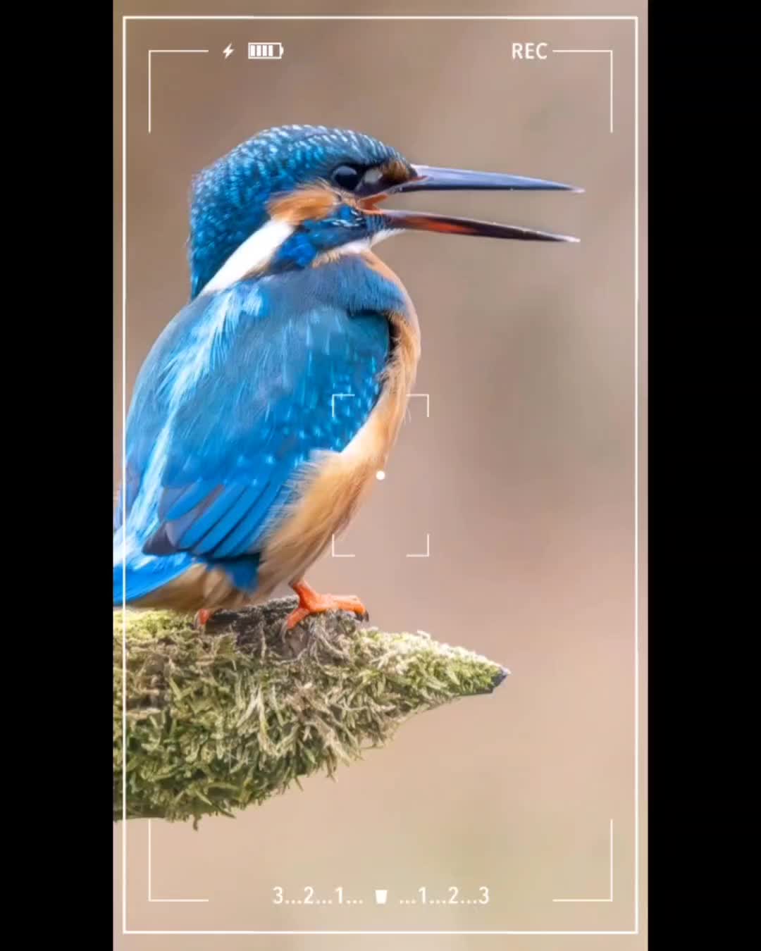 @Ellenlichtenheldt