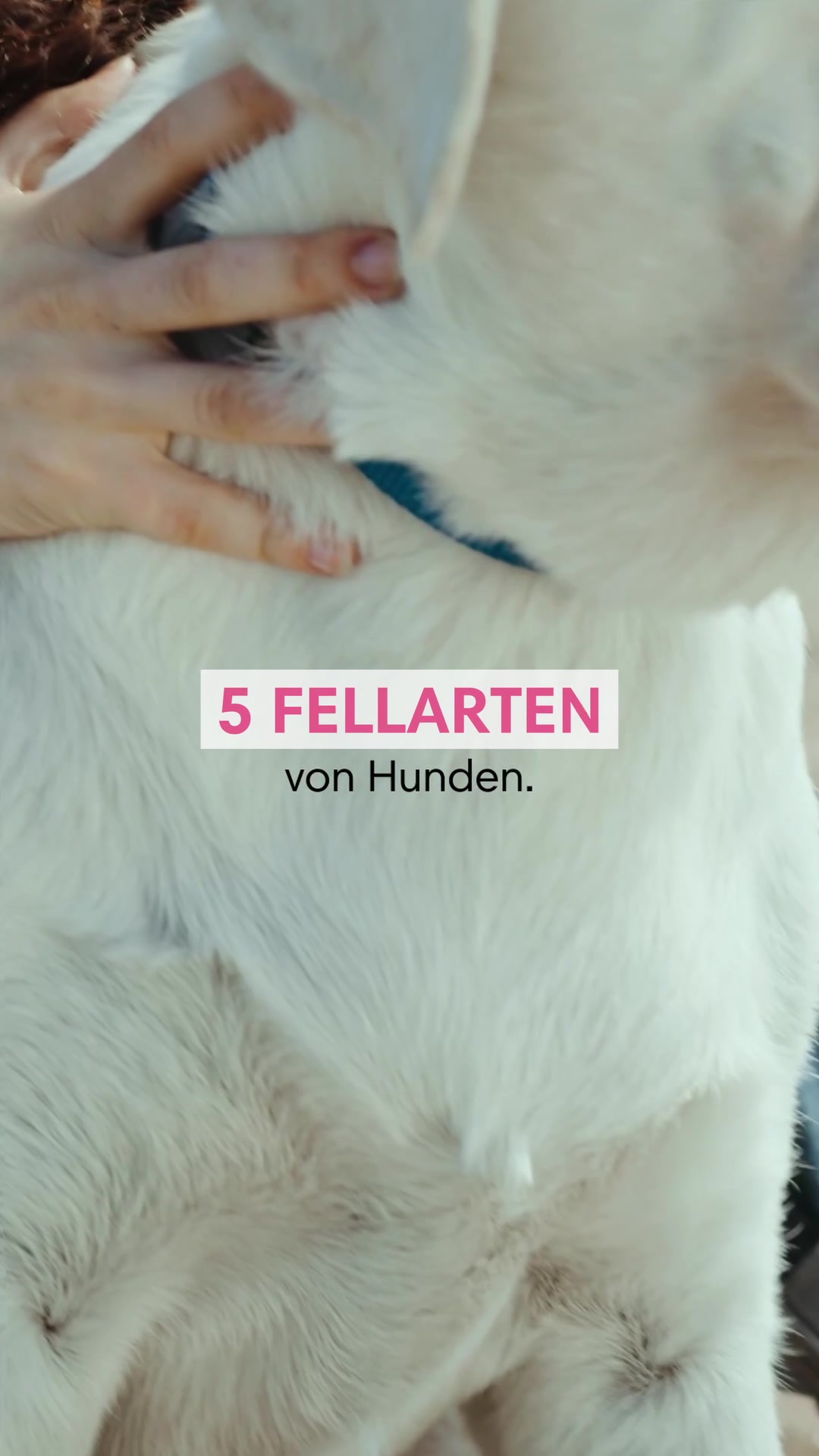 @diefutterbar