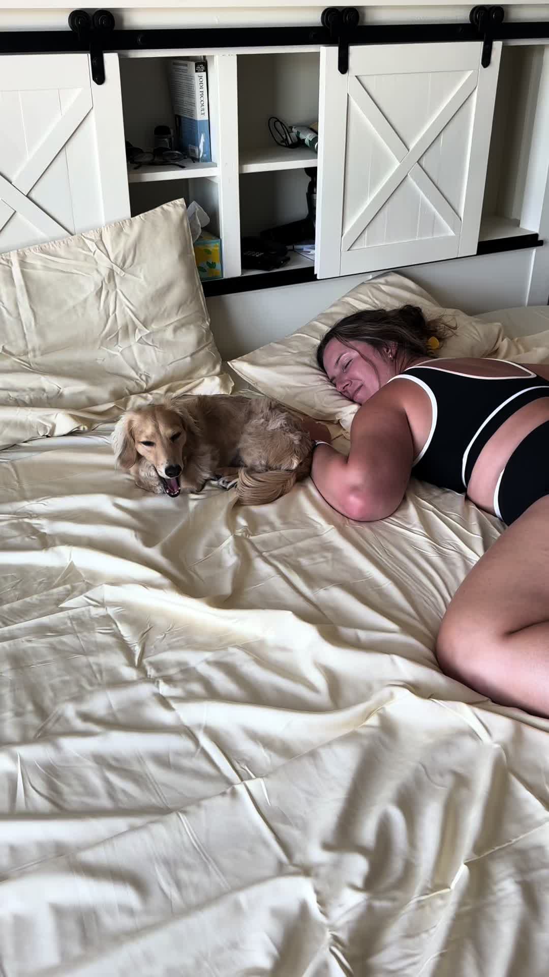 @ExtraMediumTori