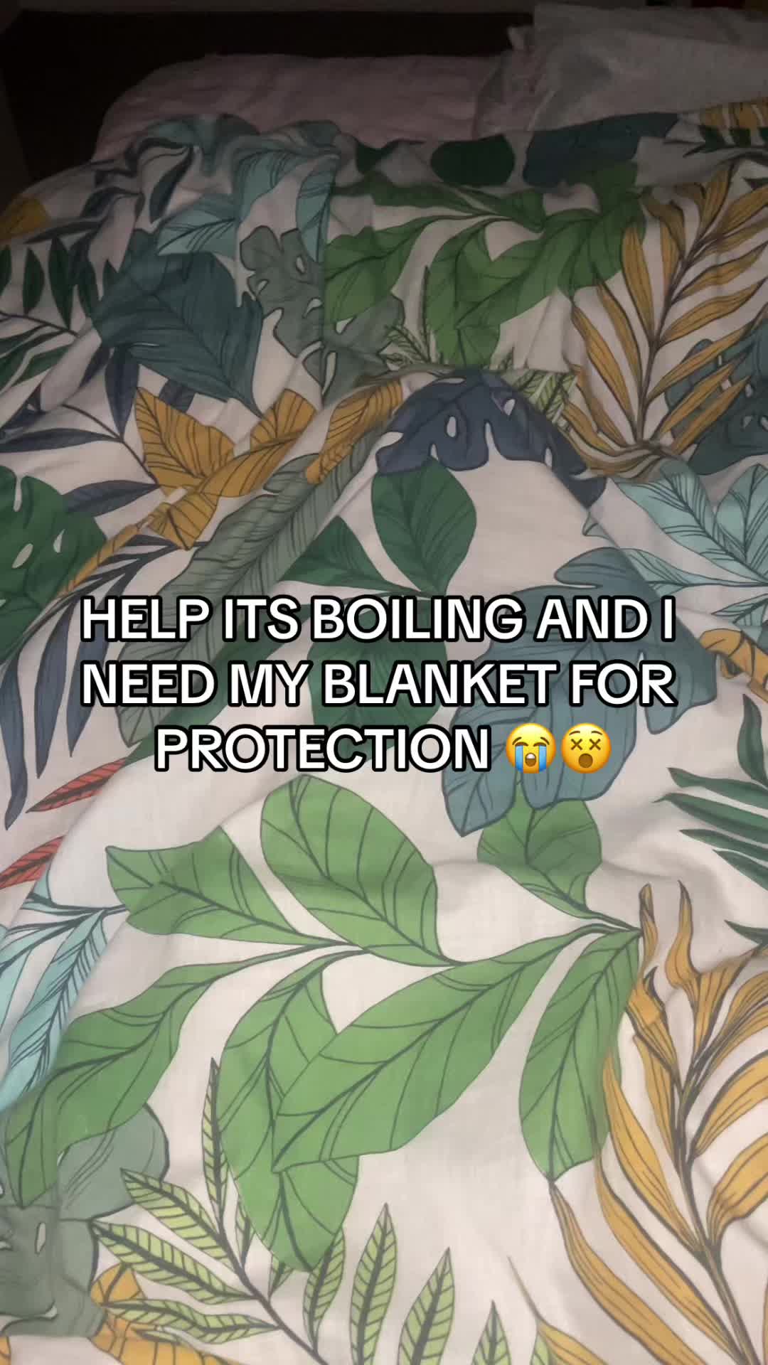 @User24416346
