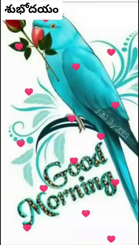 @VENKATESHGOUD