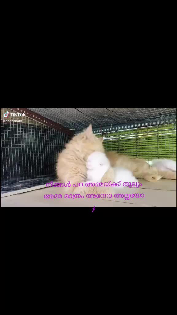 @kiran kumar