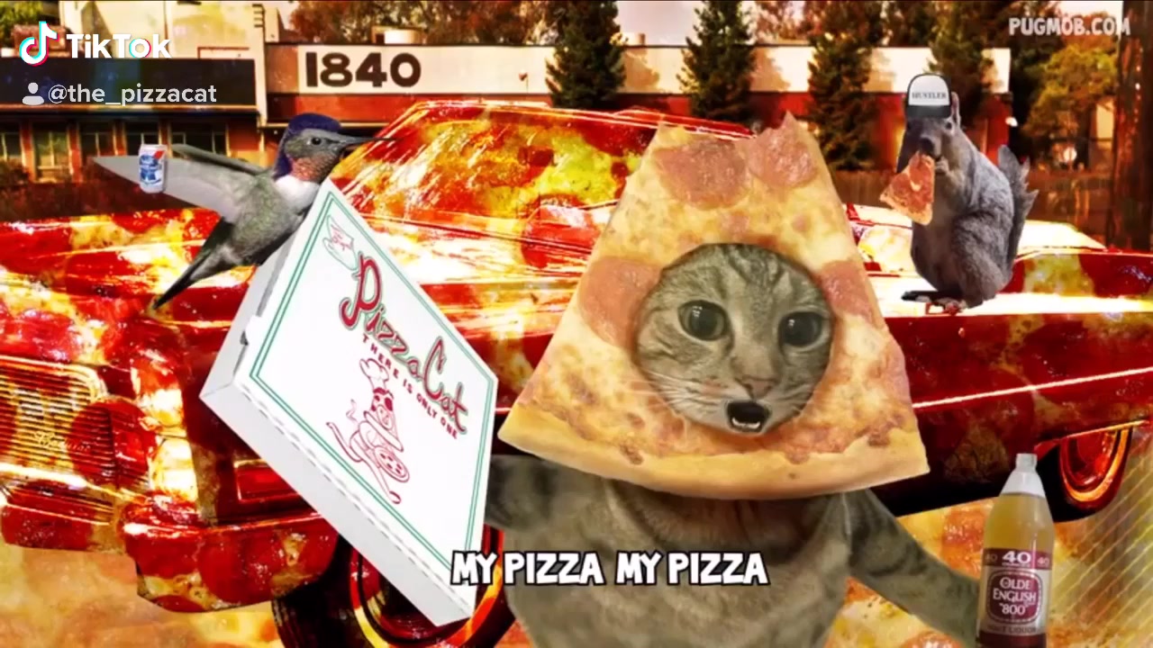 @The Pizzacat