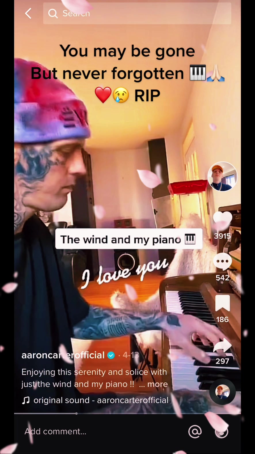 @Houdini 🦜🧚&zwj;♀️💕