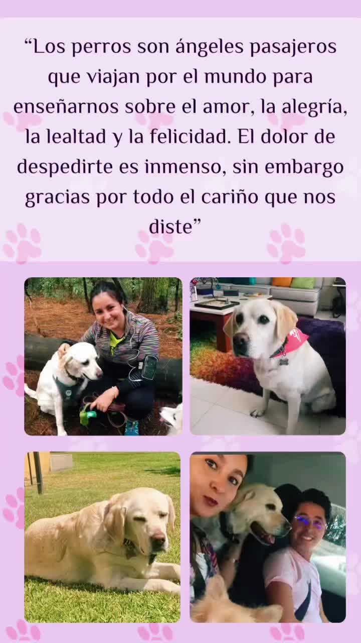 @Jessica Treviño D.
