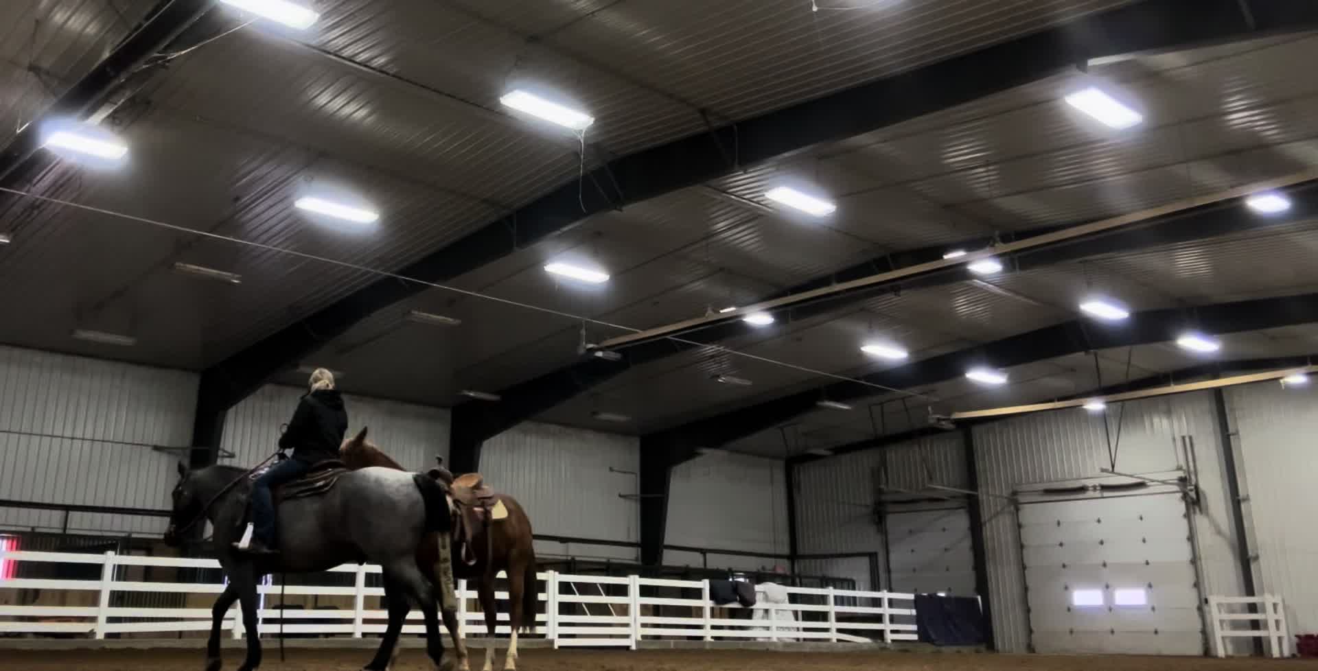@Sky High Horsemanship LLC