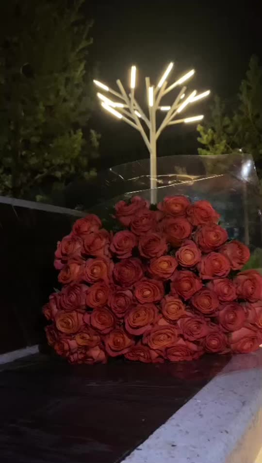 @yussubova095