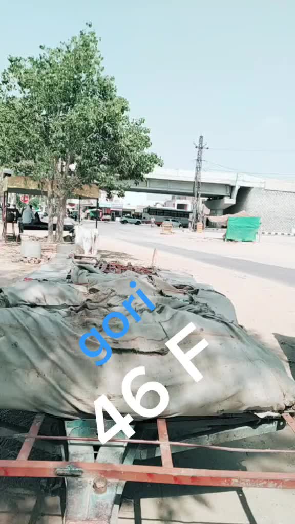 @user909698617350