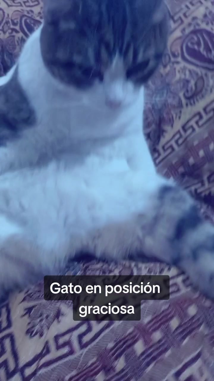 @Animales reales
