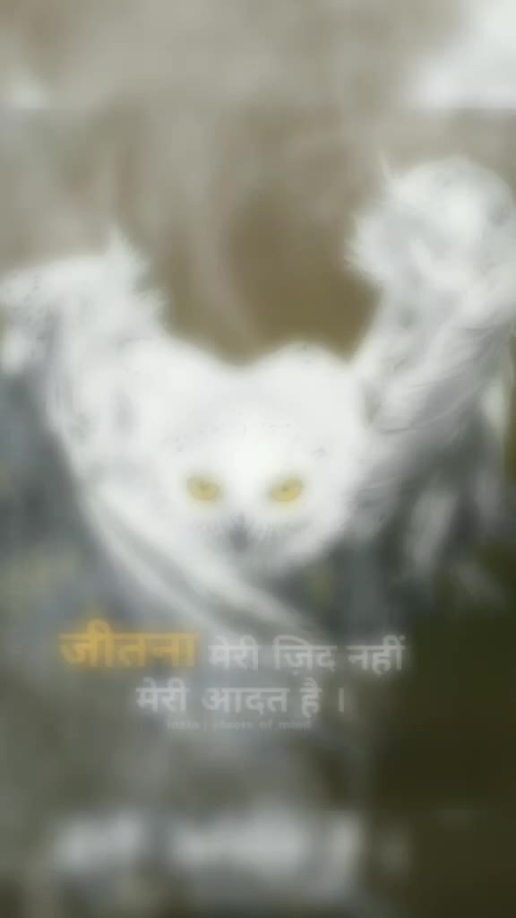 @Harshad Chavda 13