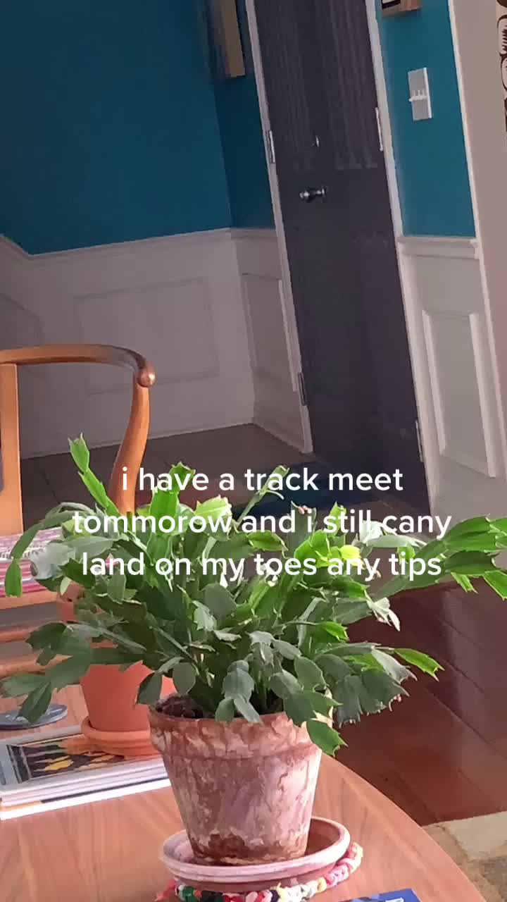 @annaslanderaccount