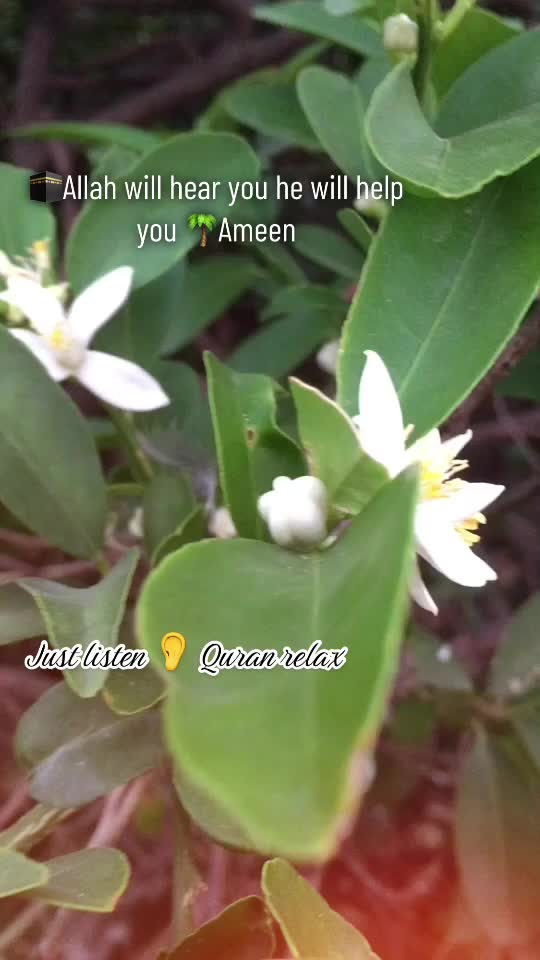 @faisalrd0415Lena