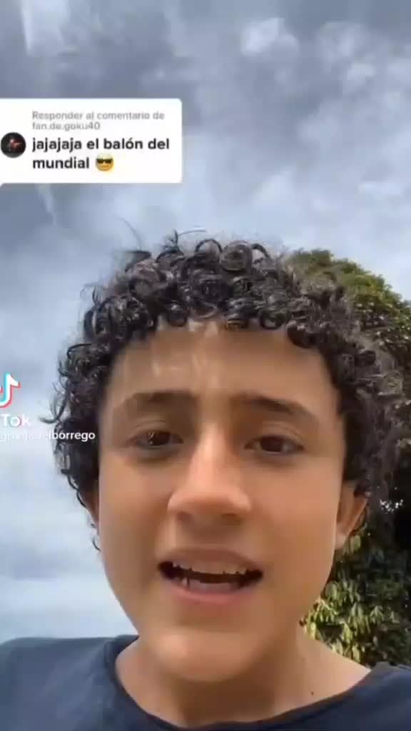 @gaelruiz3672