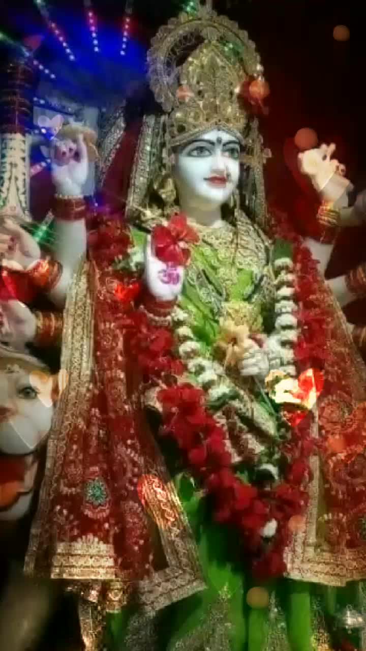 @Riya Ruhil