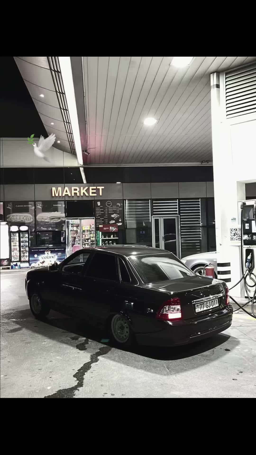 @🔗🕊️