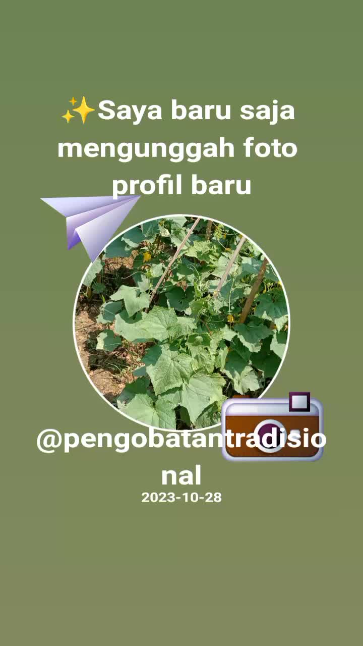 @🌹UWA TERE🌹