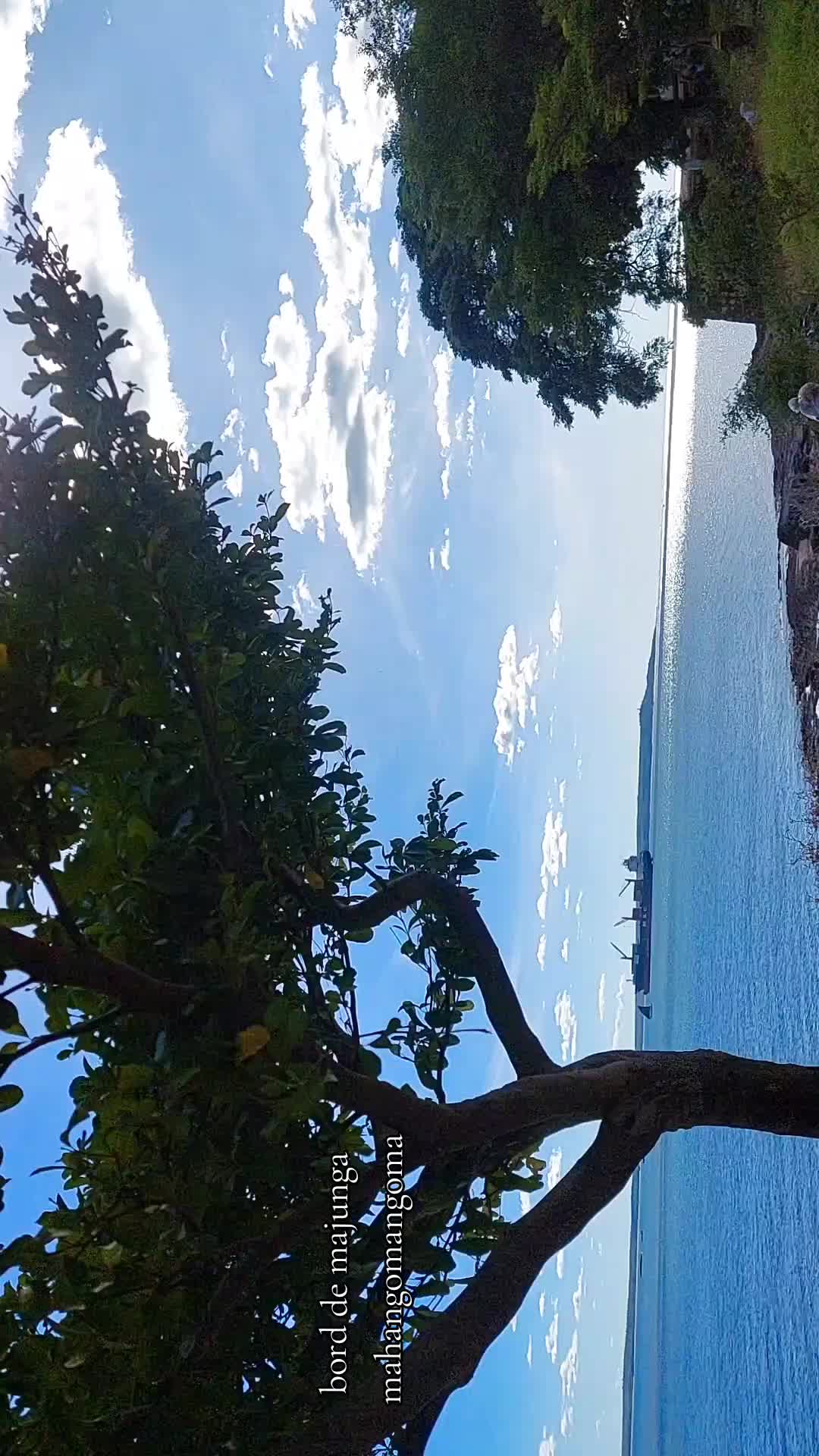 @Come to madagascar