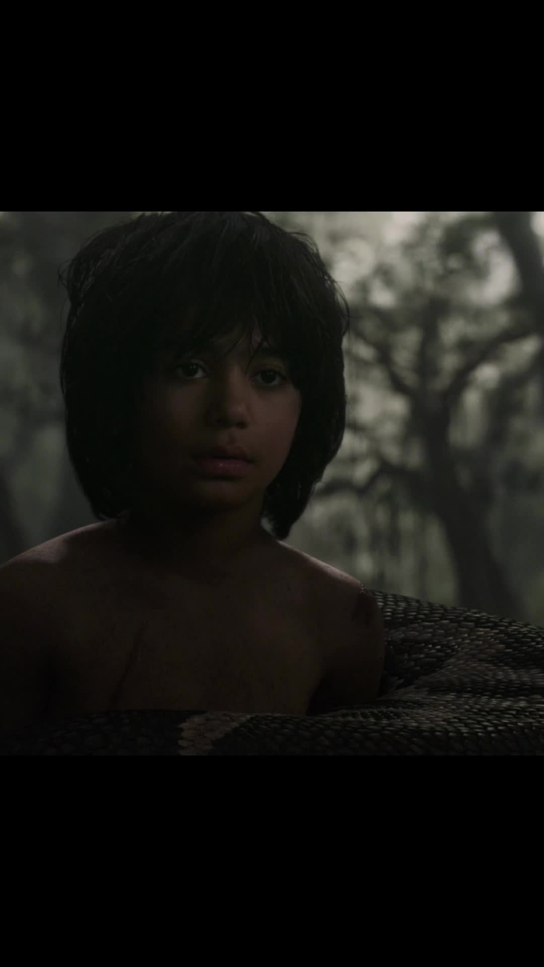 @Catomovie