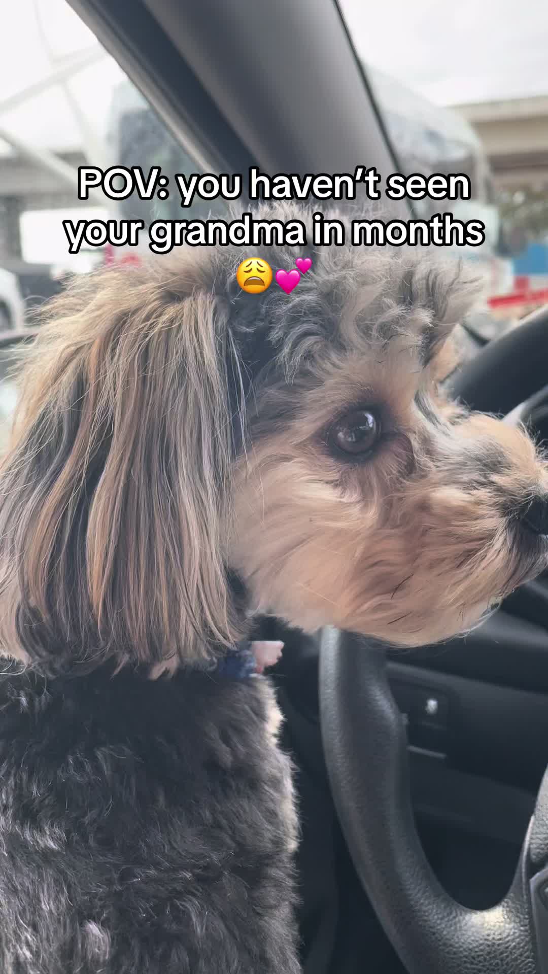 @Jaymee
