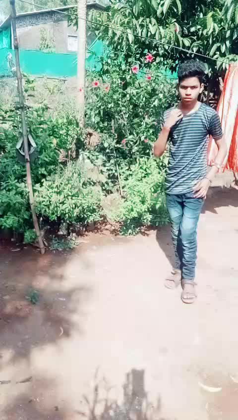 @Vinit Mhatre