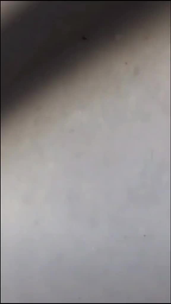 @user64495970446