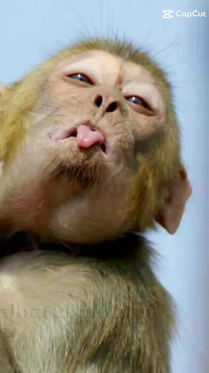 @muna rana magar