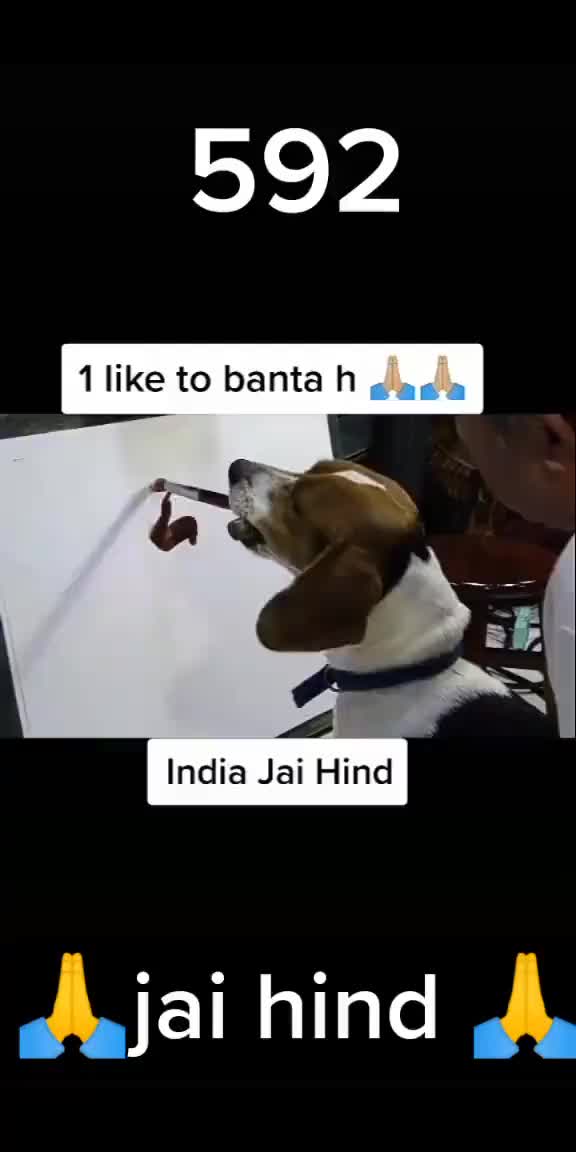@karan thapa