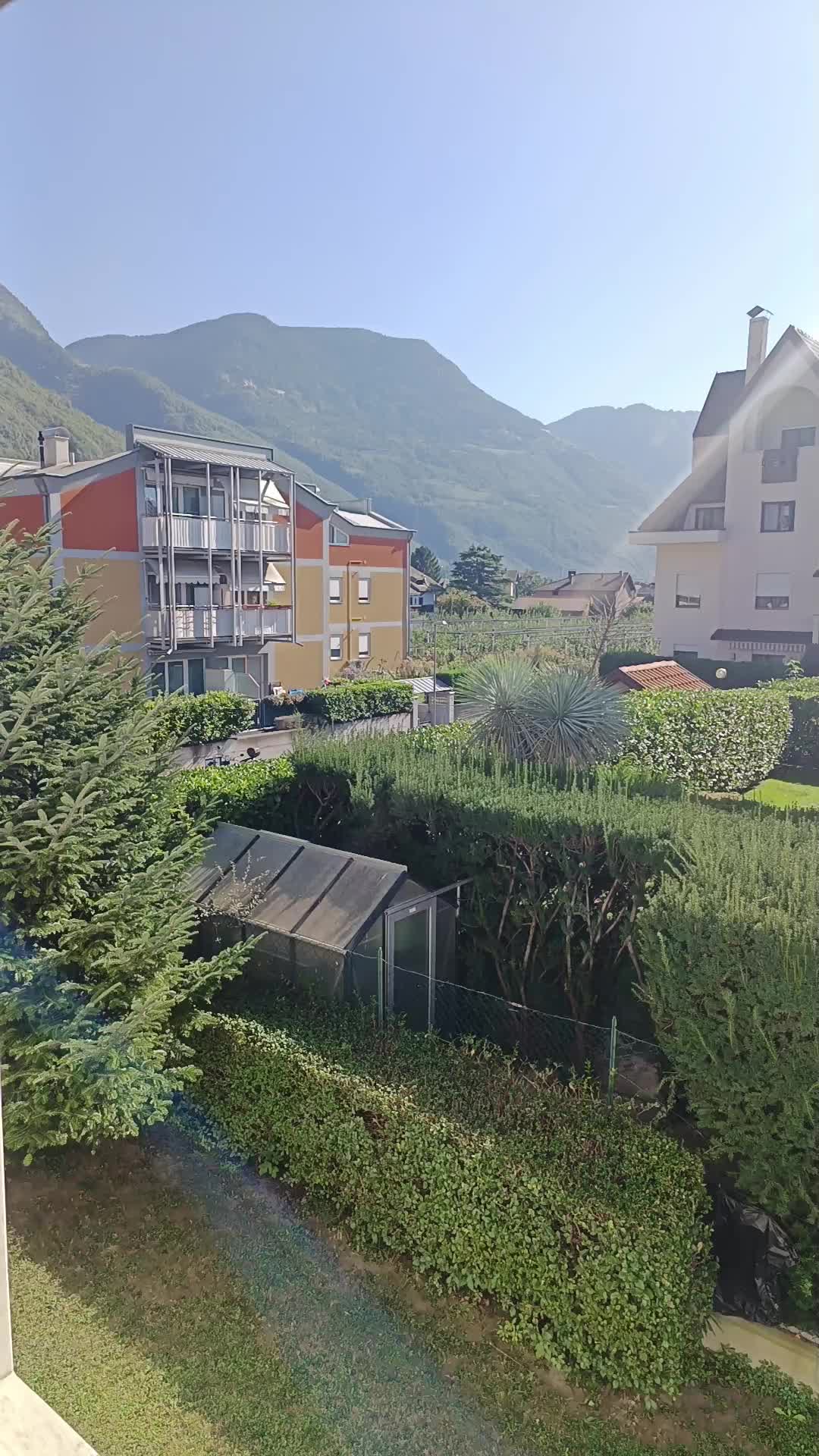 @Mario Alberti