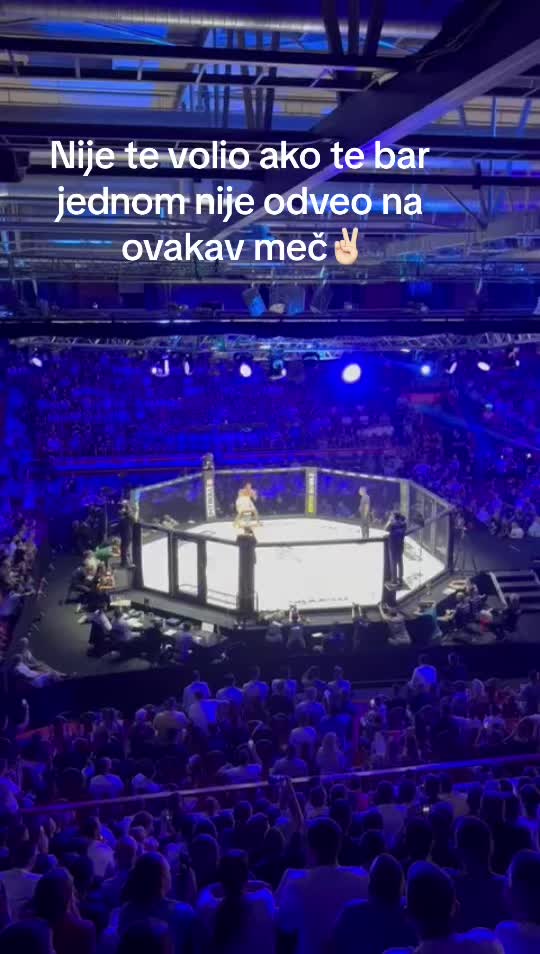 @iris_blazevic