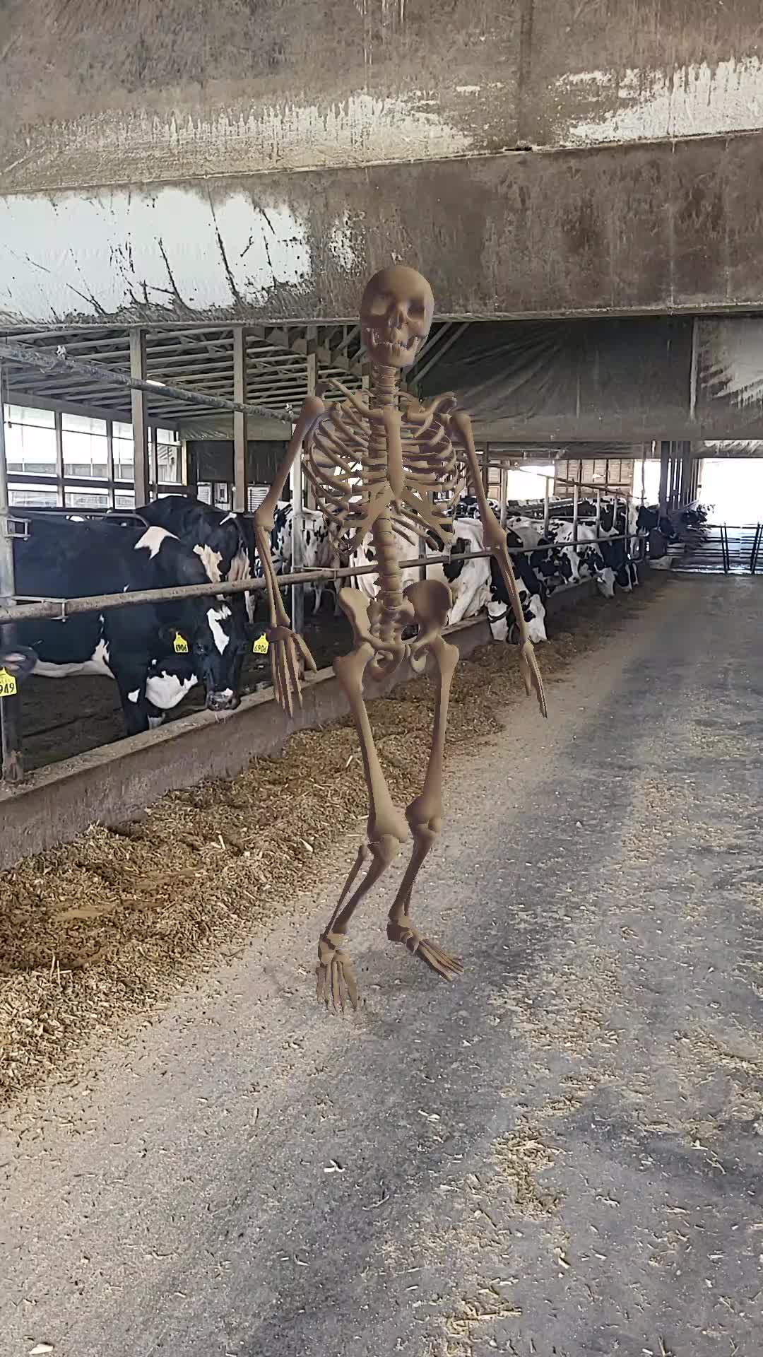 @Farmer Moo