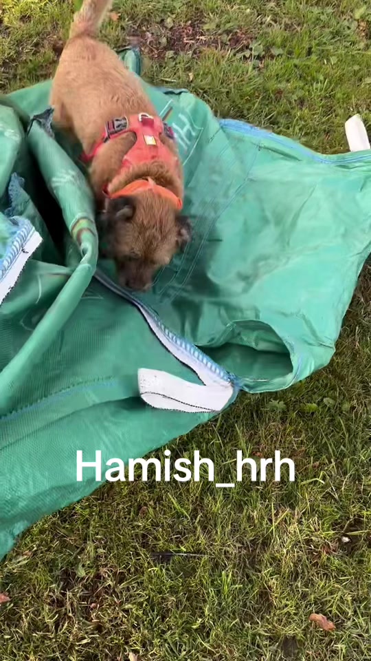 @Lord Hamish HRH
