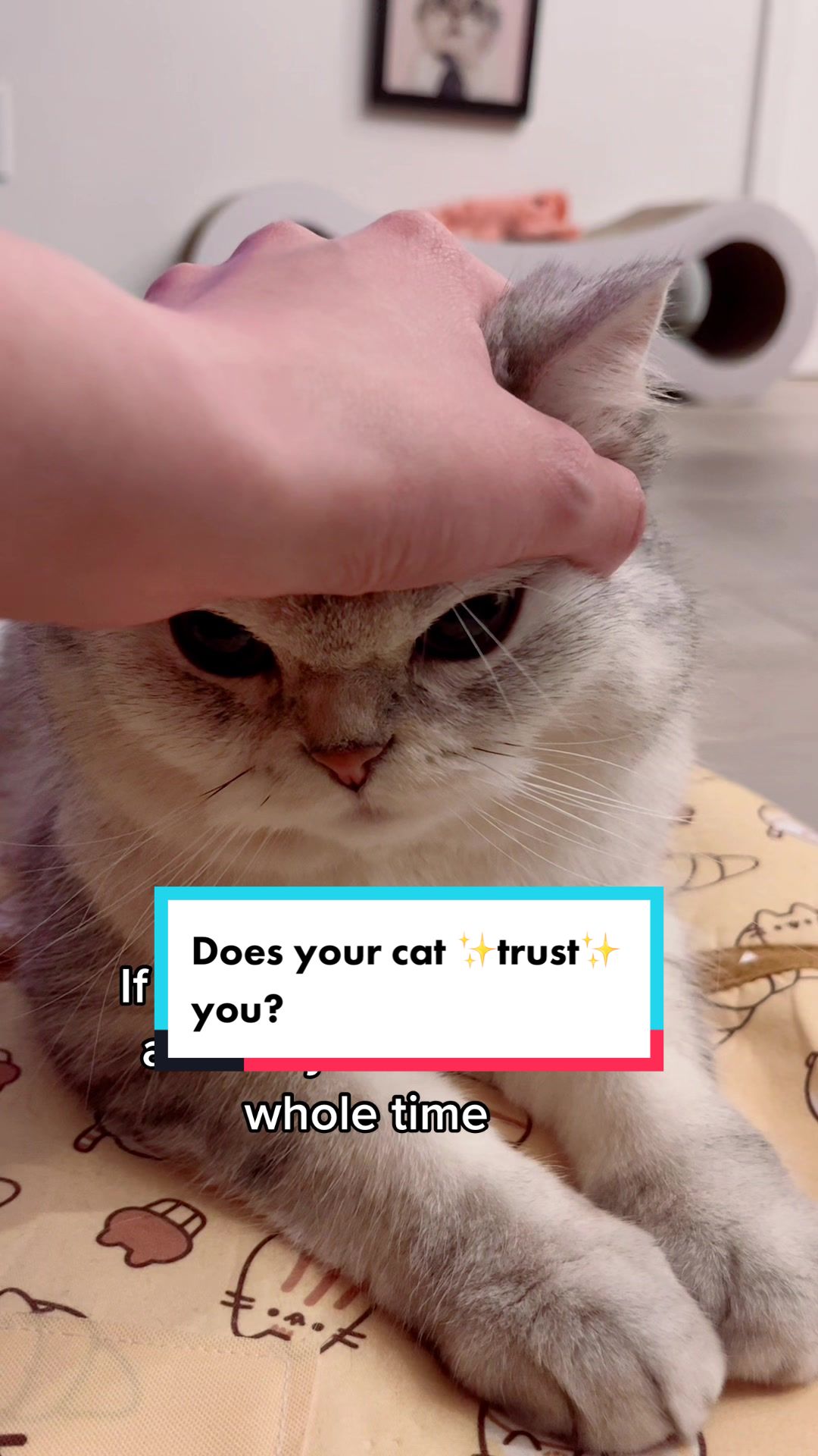 @Ollie the Cat