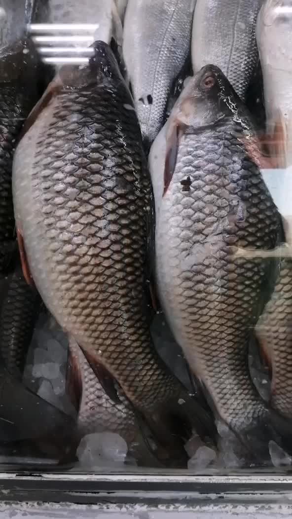 @fish mart@007