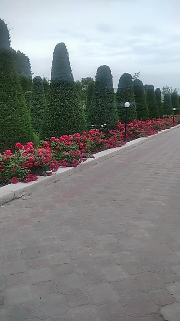 @Kumush Xorazm