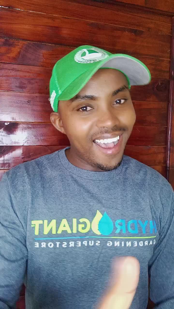 @Mbizzle_mkenya🇰🇪